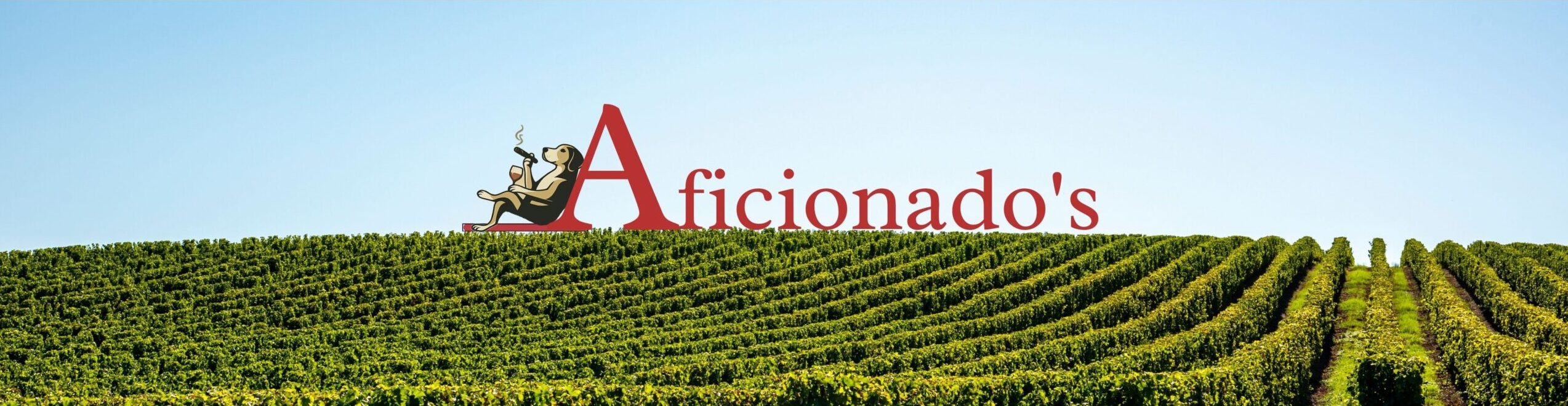 Aficionados Coral Springs Wine & Cigar Shop Logo